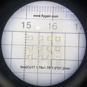 Magnet cu inel SMCo Micro Precision pentru motorul mobil